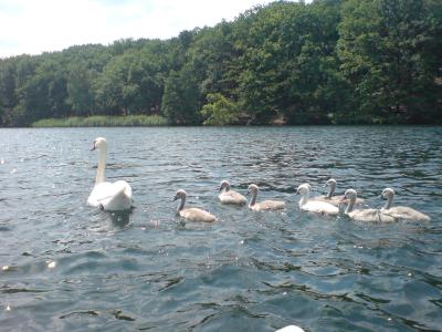DSC00296